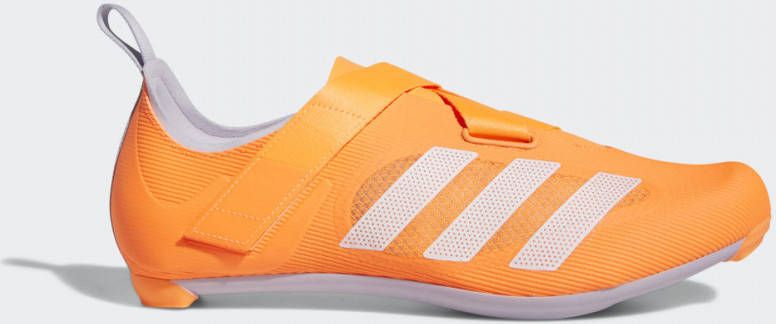 adidas THE INDOOR WIELRENSCHOEN