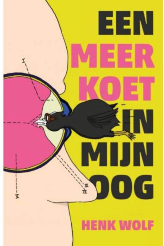 Een meerkoet in mijn oog Henk Wolf