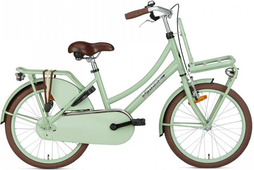 Popal Meisjesfiets Daily Dutch Basic 20 Inch 32 Cm Meisjes Terugtraprem Groen