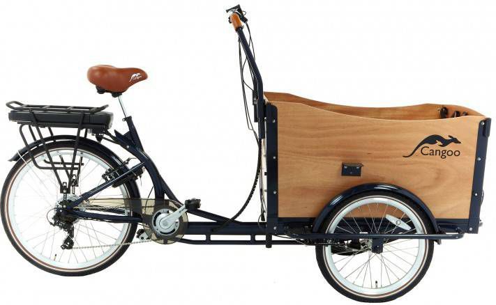 Cangoo Elektrische Bakfiets Travel 20 Inch Unisex 6v V brakes Blauw/naturel