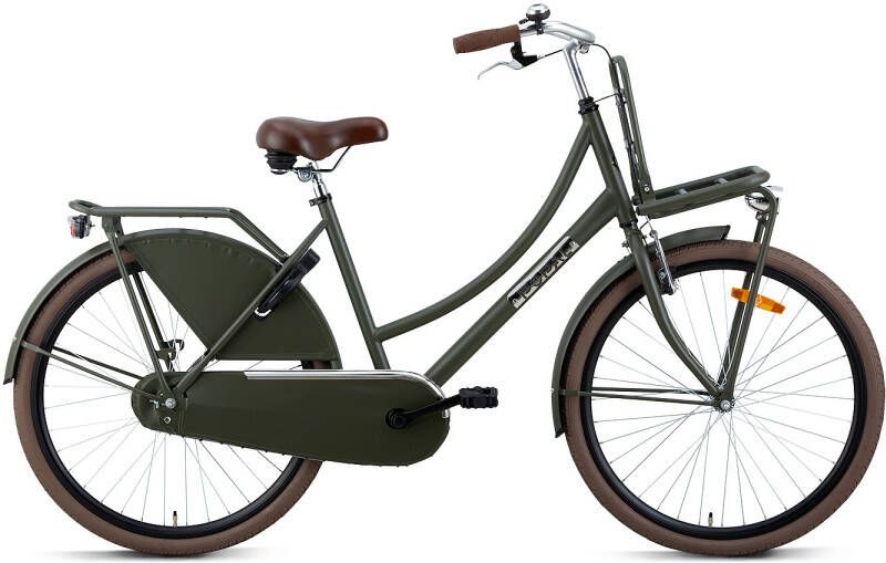 Popal Meisjesfiets Daily Dutch Basic+ 26 Staal Groen