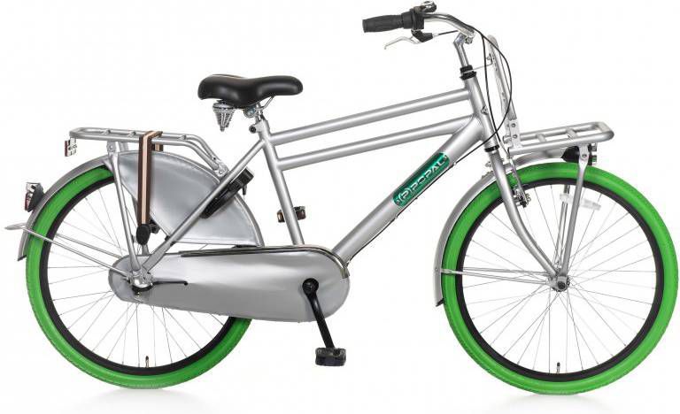 Popal Daily Dutch Basic+ 24 Inch 42 Cm Jongens 3v Terugtraprem Grijs/groen