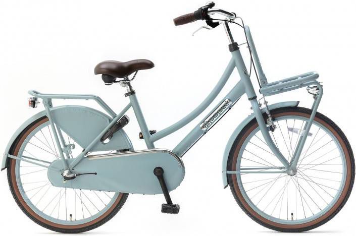 Popal Meisjesfiets Daily Dutch Basic+ 22 Inch 36 Cm Meisjes 3v Terugtraprem Matblauw