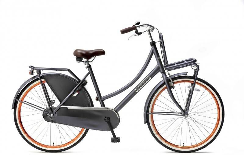 Popal Meisjesfiets Daily Dutch Basic 26 Inch 46 Cm Meisjes Terugtraprem Petrolblauw