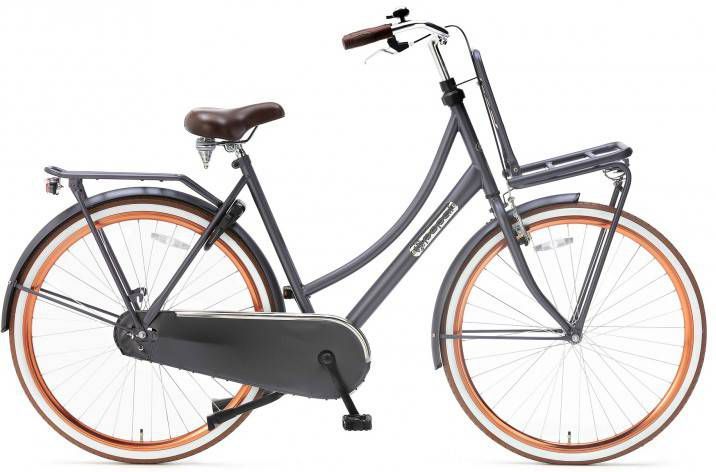Popal Transportfiets Dames Daily Dutch Basic 28 Inch 57 Cm Dames Terugtraprem Blauwgrijs Mat