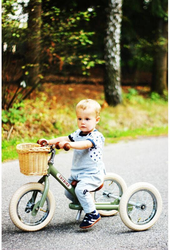 Trybike steel mandje